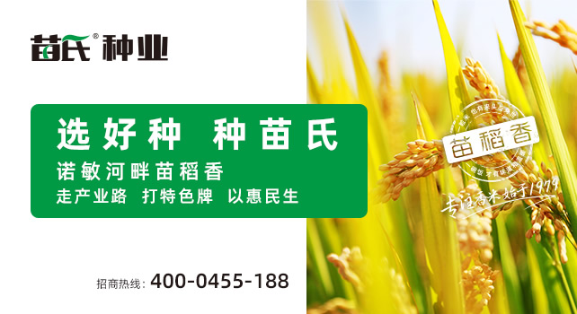 中國政府采購招標網(wǎng)